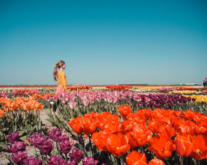 Tips dagje Julianadorp, wat te doen in Julianadorp? - NederlandsGlorie