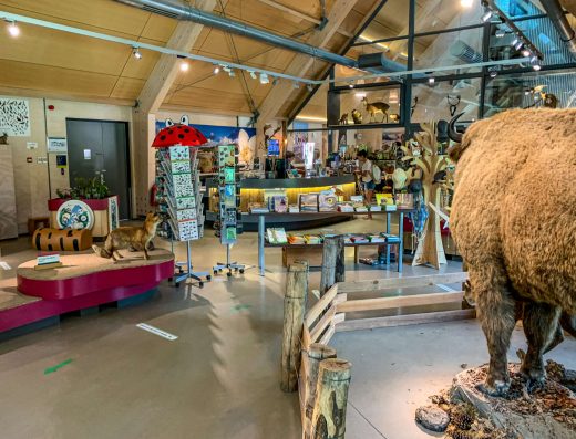 Tips voor bezoek aan Bezoekerscentrum De Kennemerduinen